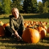 Katie in the Pumpkin Patch            Topsham, Maine