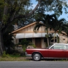 *Alex's Neighbors*       Miami, Florida