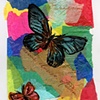 Metamorphosis 4