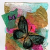 Metamorphosis
