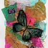 Metamorphosis 1