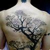 Tree Back