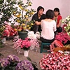 The Footscray Fortune Garden
