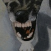 Detail, Mean 'ol Dog