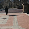Central Park Images