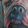 Monster the Dog