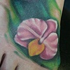 Orchids
