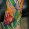 Butterflies