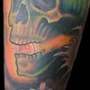 Skull