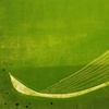 Green erratic in field 2