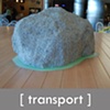 Transport