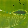 Green erratic in field 4