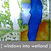 Windows into Wetlands