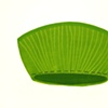 Green erratic 3