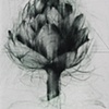 Artichoke