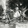 Orchard Trees