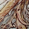 A Dragon's Birth