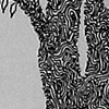 Floresta (detail close up 1)