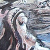The Dancer