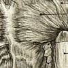Anatomical sketch