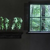 GROVE
2011