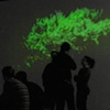 TRACINGS
2008