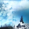 "Island of Trees"