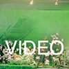 "A Plastic Garden"