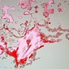 Plume