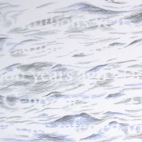 Joanne Aono Lake Michigan crinoid drawing