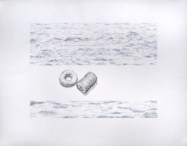 Joanne Aono Lake Michigan crinoid drawing