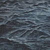 Fossil Coral 2