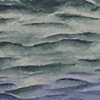 Fossil Coral 1 Detail