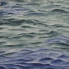 Fossil Coral 1