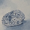 Fossil Coral 1 Detail 2