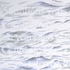 Crinoid Drawing Detail