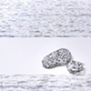 Fossil Coral