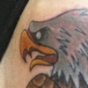 Traditional Eagle