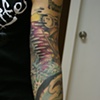 Shipwreck Sleeve