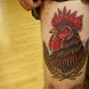Rooster