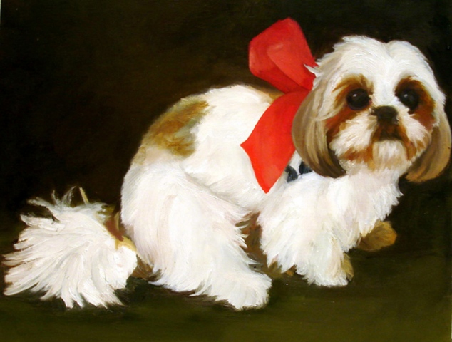 A portrait of a SHih Tzu  in oil painted by Tara Benet
