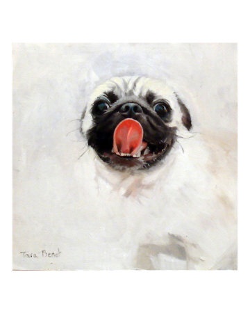 A portrait of a Bulldog  in oil painted by Tara Benet