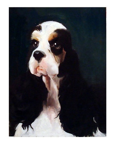 A portrait of a Spaniel in oil painted by Tara Benet