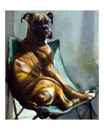 A portrait of a Boxer  in oil painted by Tara Benet