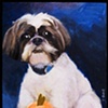 Winston