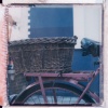 Summer in the City