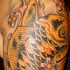 koi fish