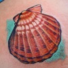 Seashell