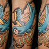 swallow, jonas