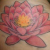 Mom2's Lotus